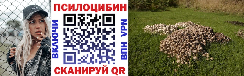 Псилоцибиновые грибы GOLDEN TEACHER  Купить где  Ельня 